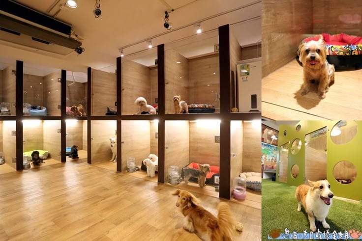 Зоогостиница 2026: как заработать на «вертикальных» номерах и окупить 1 млн рублей за 4 месяца