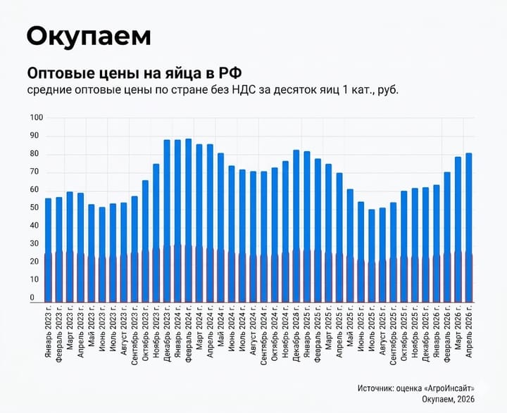 Яйца некуда девать: рентабельность производителей яиц в России упала в 6 раз на фоне профицита в 3,6 млрд штук
